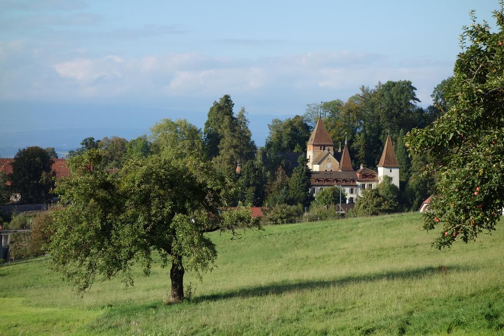 Schloss Muenchenwiler Murten Exteriér fotografie